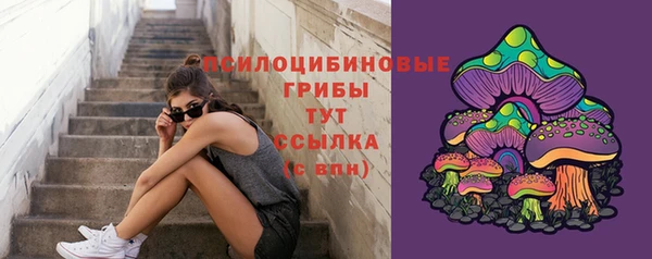 эйфоретик Алзамай