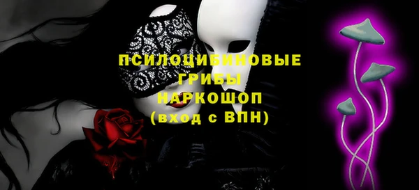 гидропоника Снежинск