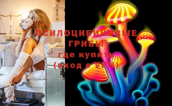 мдпв Алексин