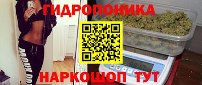 твердый Берёзовский