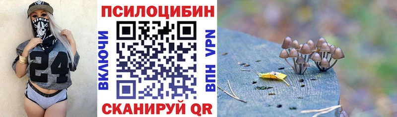 купить наркотик  Волгоград  Галлюциногенные грибы Cubensis 